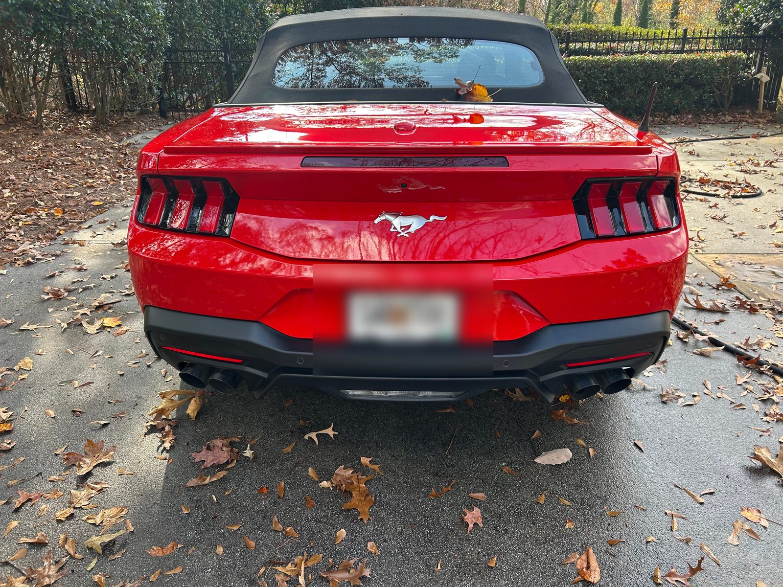 Freshly detailed red Mustang by Dillpickle's Carwash